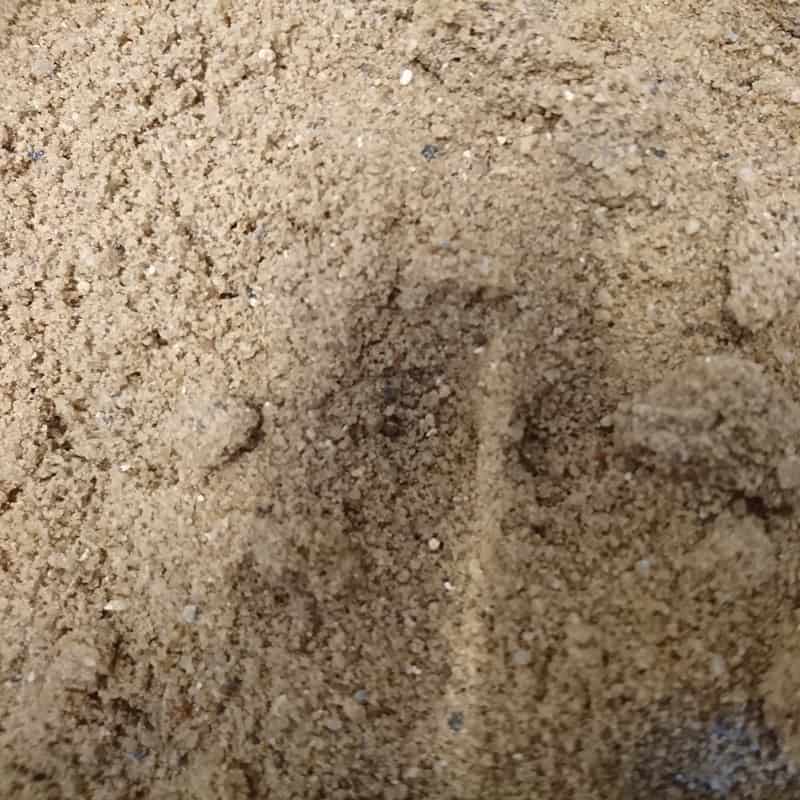 A close-up view of Plastering Sand - Loose reveals its fine, light brown grains. The uneven surface features small indentations and ridges, indicating it has been moved or disturbed.