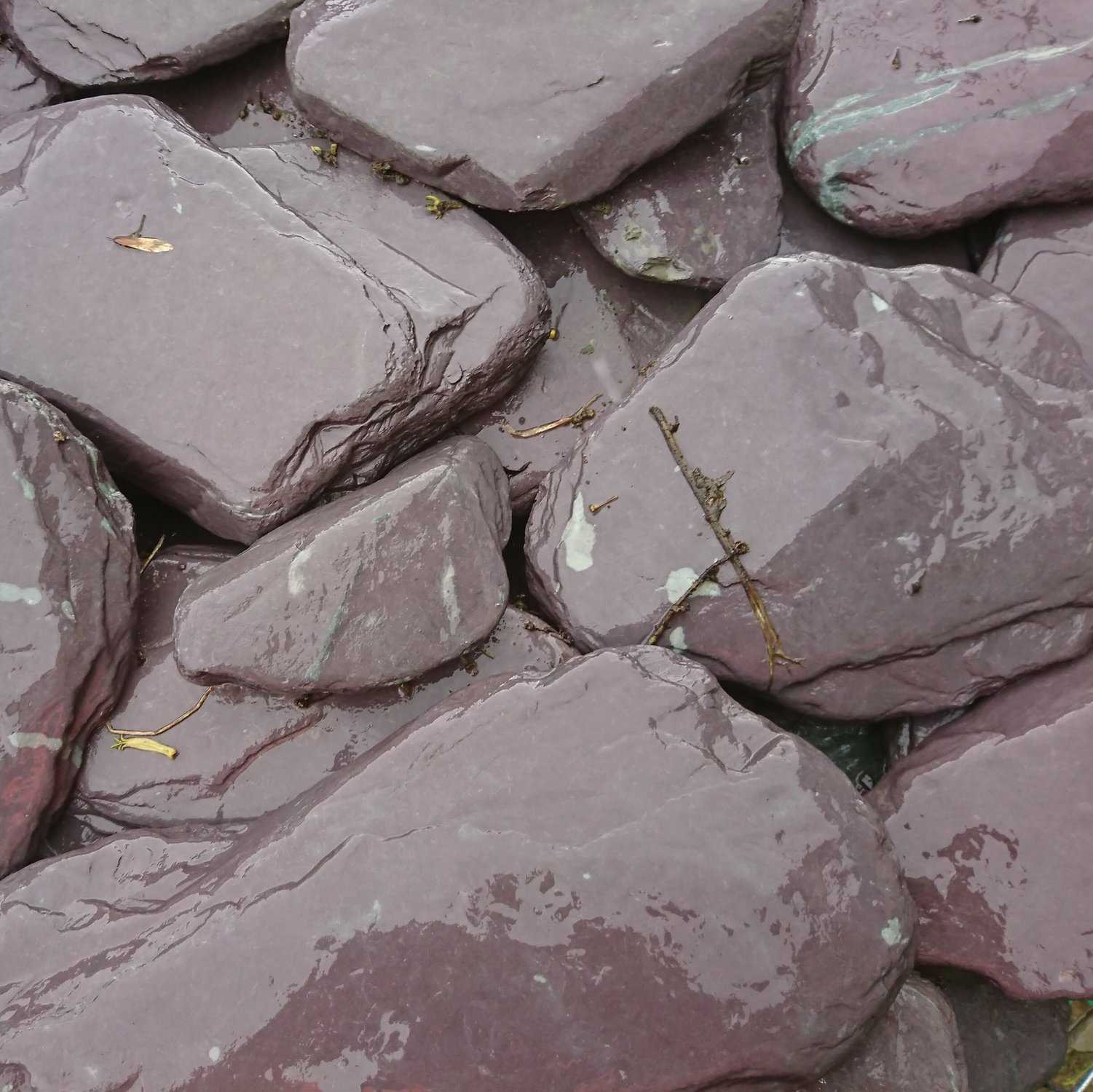 The 200-300mm Welsh Slate Paddle/Stepping Stones feature large, smooth surfaces with purple-gray hues and white streaks, giving them a glossy wet look. Small twigs and debris are scattered across the stones.