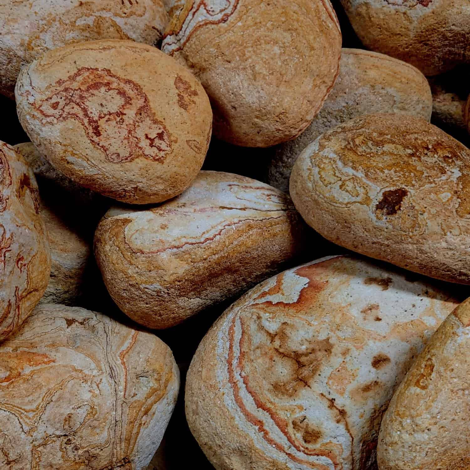 A group of smooth, oval-shaped 200-300 Rainbow Marbled Boulders display swirled patterns in brown and beige. The rough texture and closely packed arrangement highlight their natural colors and designs.