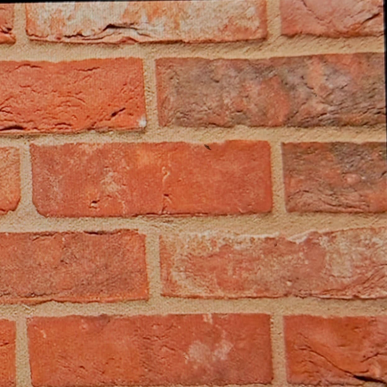 The Wienerberger DAKOTA MULTI RED (OLD ESSEX) 65mm brick wall offers a harmonious mix of red and brown bricks with varying textures. The light brown mortar enhances its classic, uniform appeal.